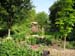 De tuin